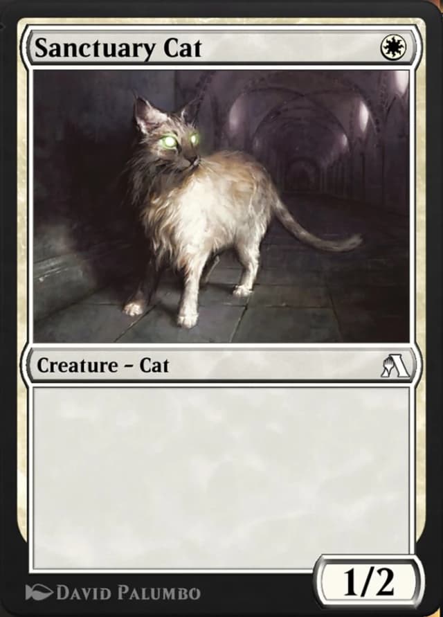 Sanctuary Cat image
