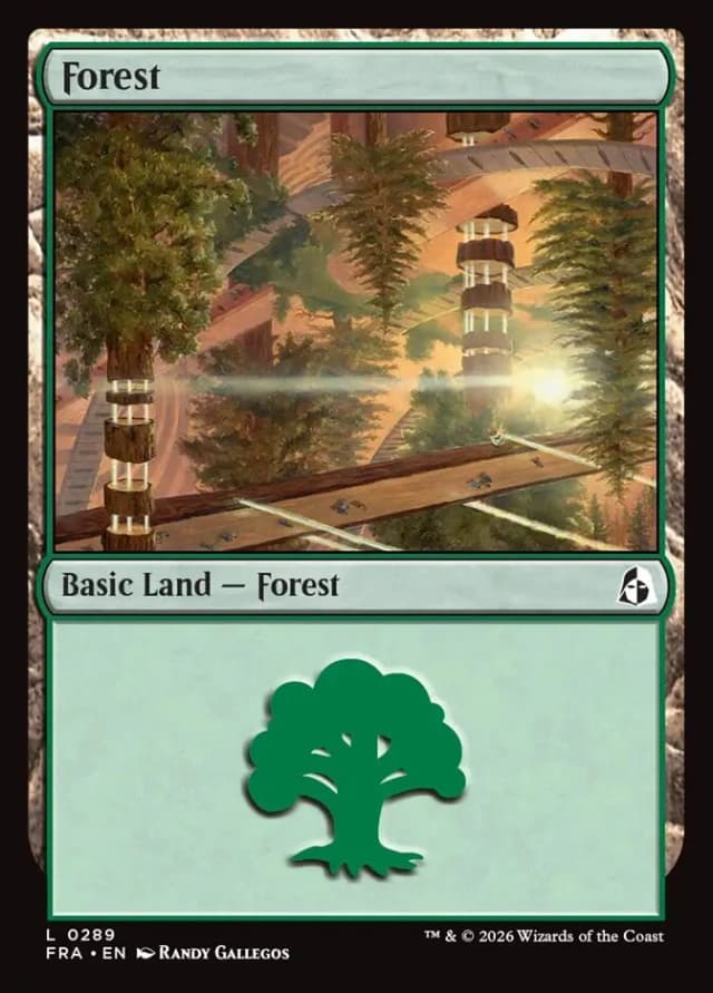 Forest image