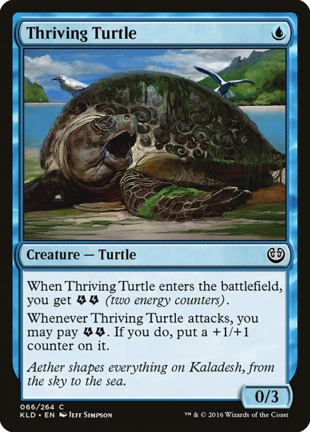 Thriving Turtle image
