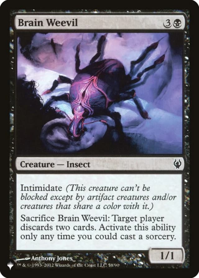 Brain Weevil image