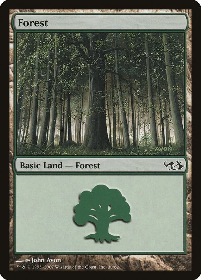 Forest image