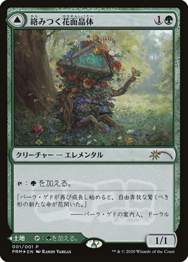 Tangled Florahedron // Tangled Vale image
