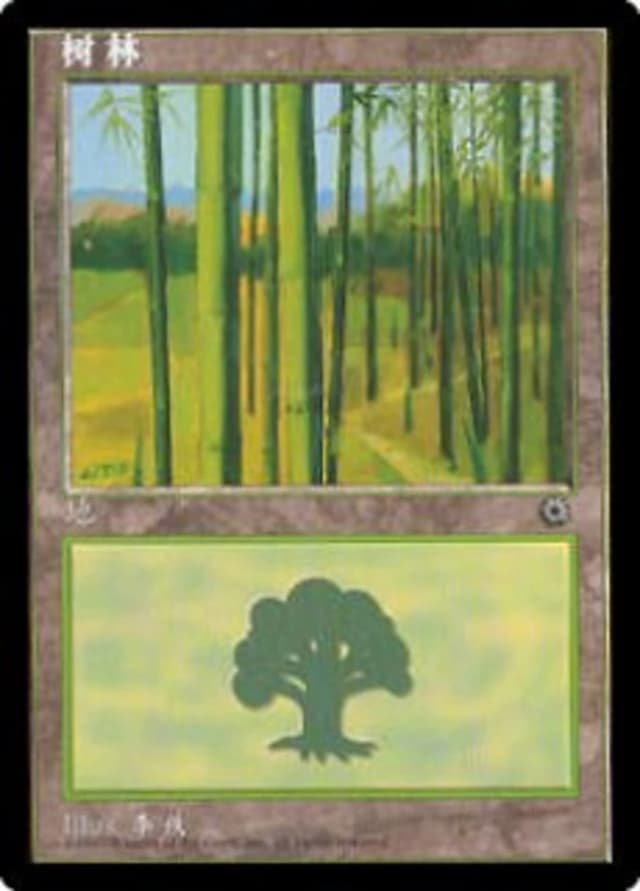 Forest image