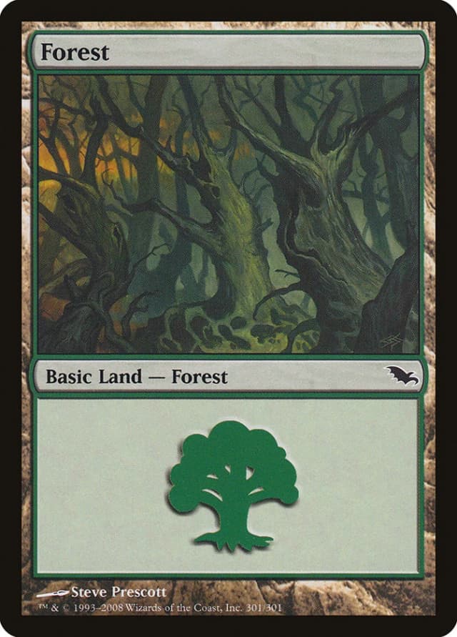 Forest image