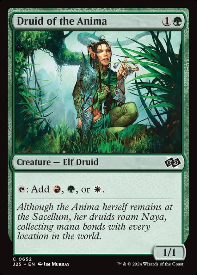 Druid of the Anima image