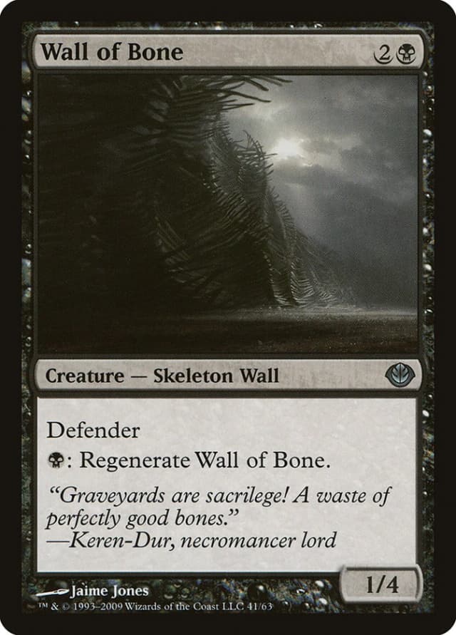 Wall of Bone image