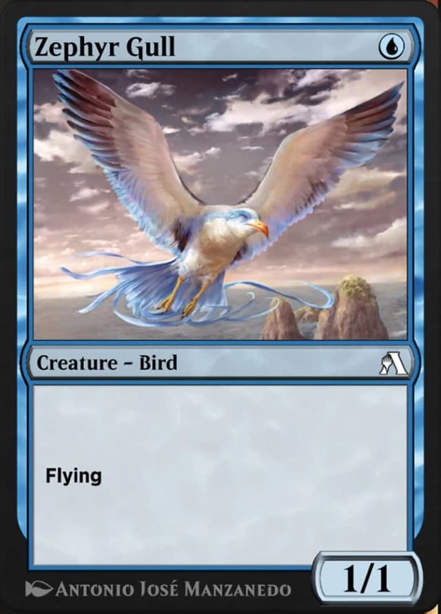 Zephyr Gull image
