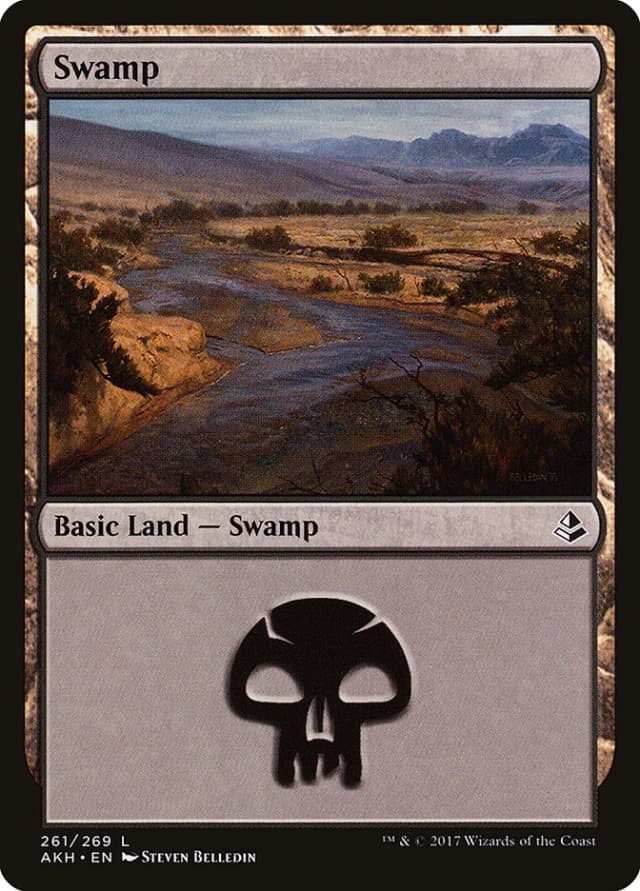 Swamp image