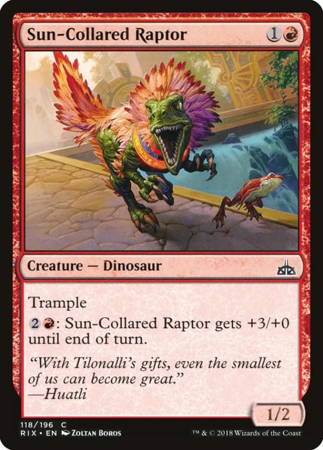 Sun-Collared Raptor image