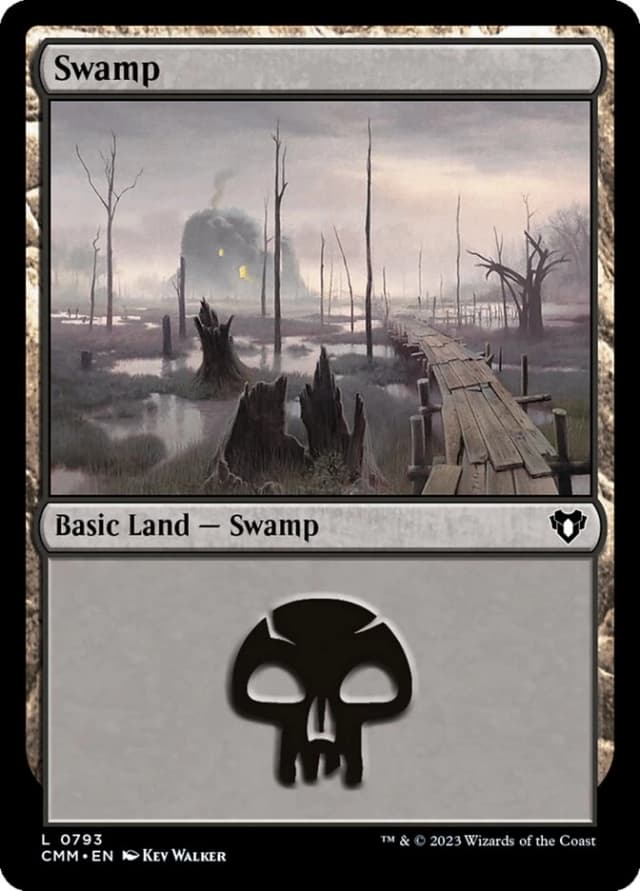Swamp image