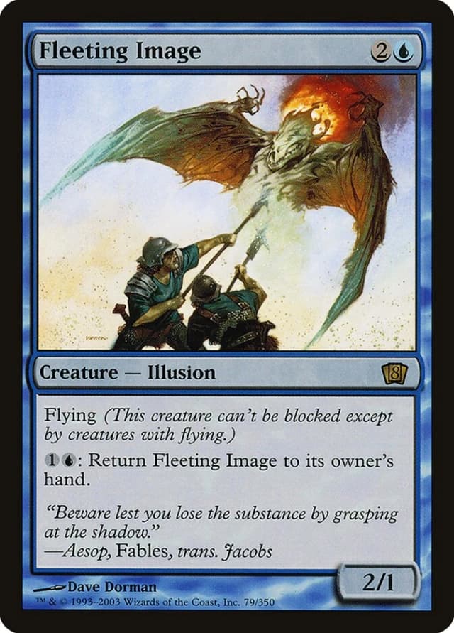 Fleeting Image image