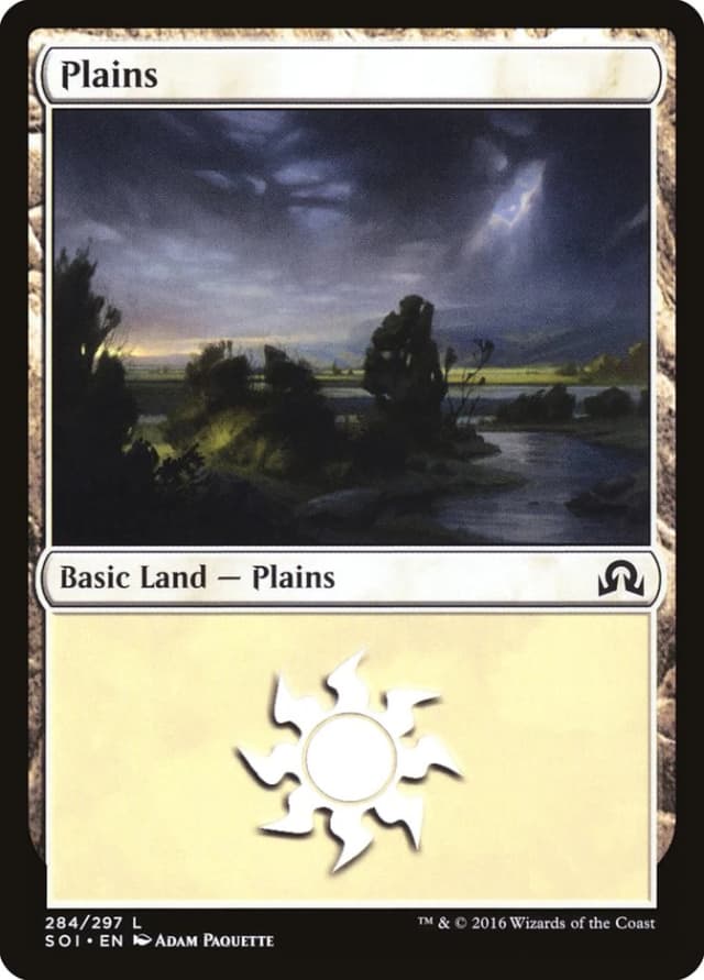Plains image
