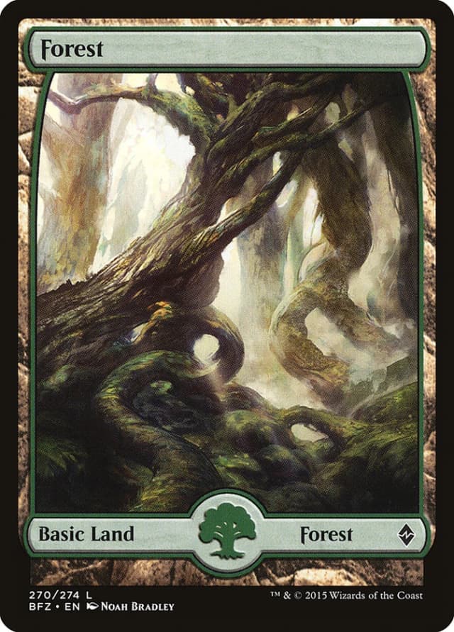 Forest image