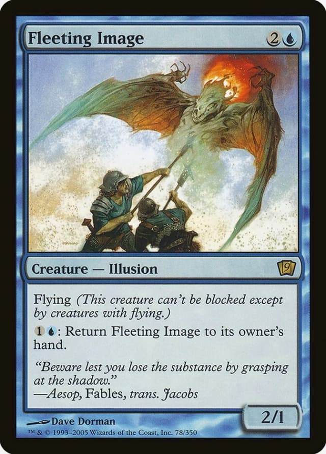 Fleeting Image image