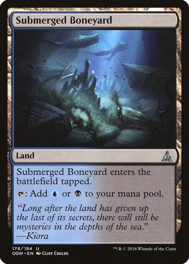 Submerged Boneyard image