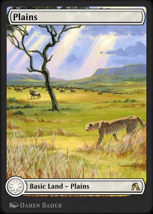 Plains image