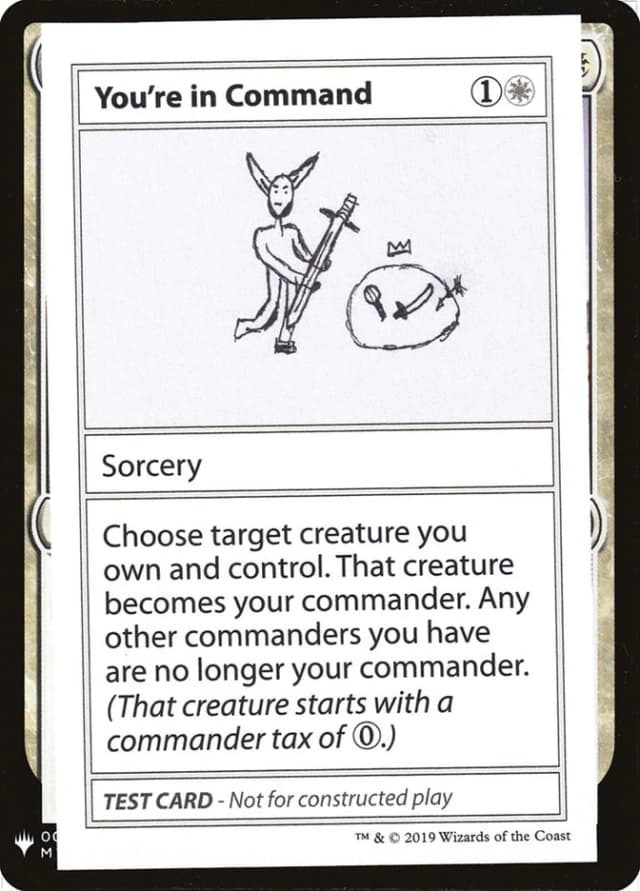 You're in Command image