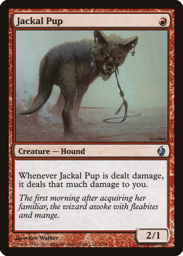 Jackal Pup image