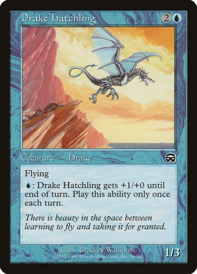 Drake Hatchling image