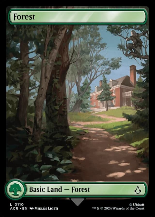 Forest image