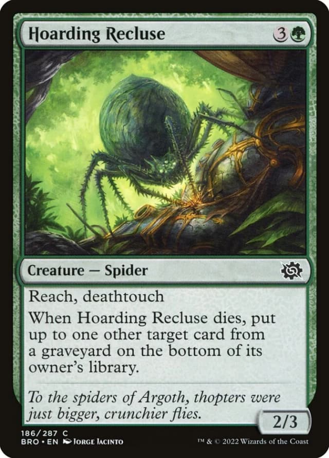 Hoarding Recluse image