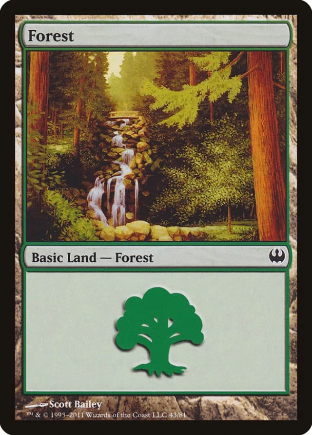 Forest image