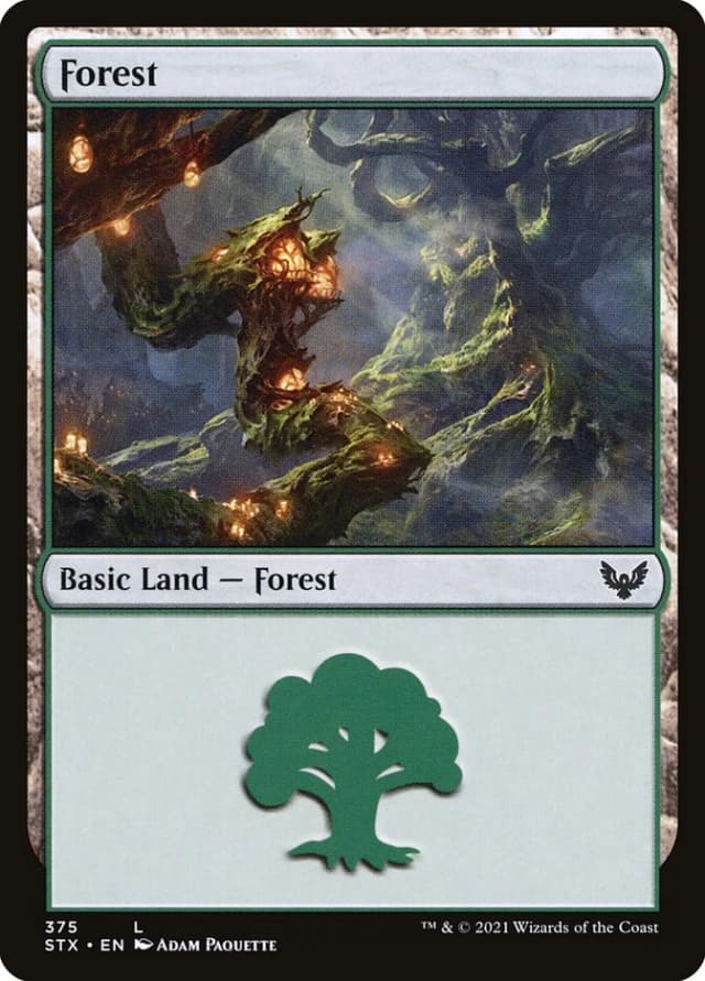 Forest image
