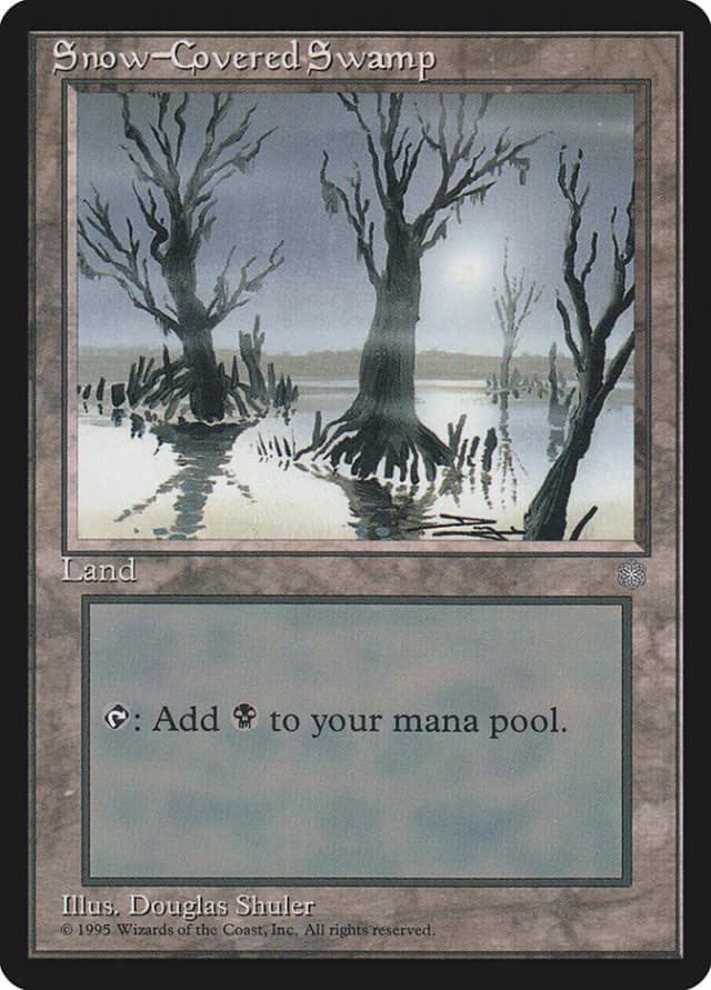 Snow-Covered Swamp image