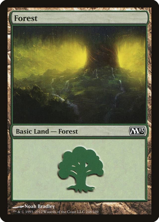 Forest image