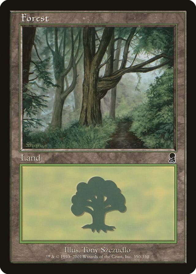 Forest image