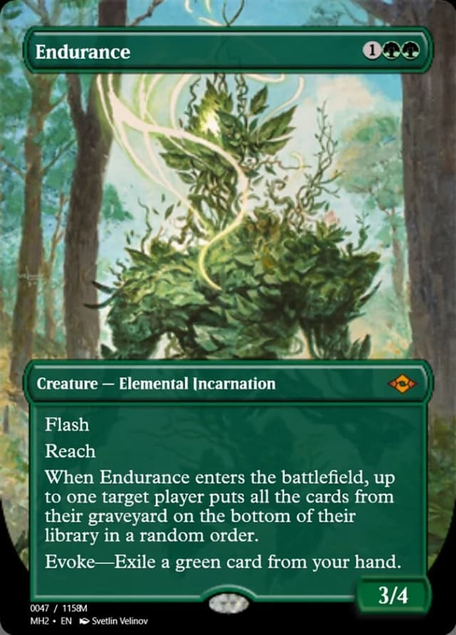 Endurance image