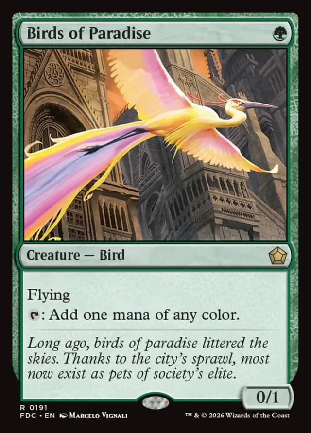 Birds of Paradise image
