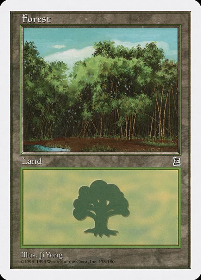 Forest image