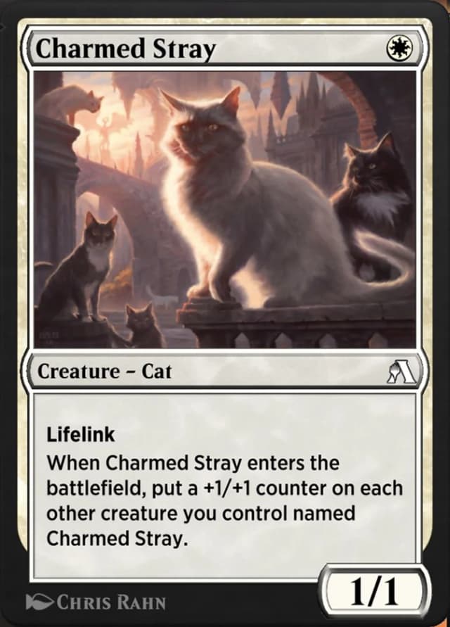 Charmed Stray image