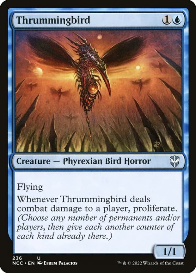 Thrummingbird image