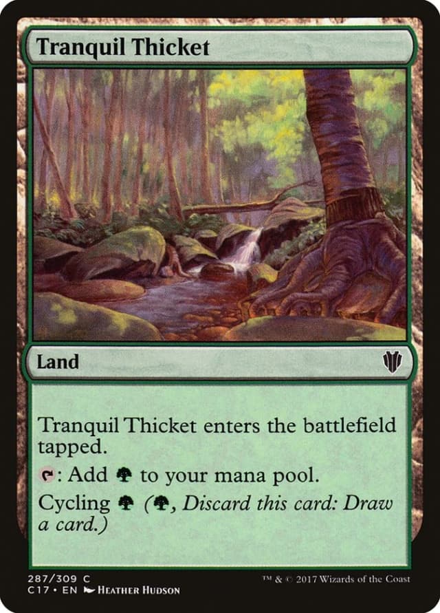 Tranquil Thicket image