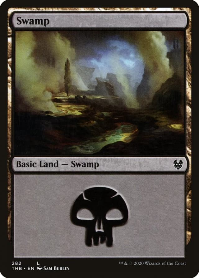 Swamp image