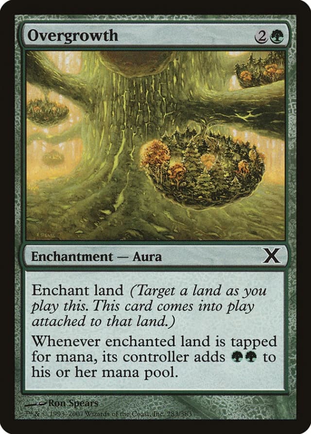 Overgrowth image