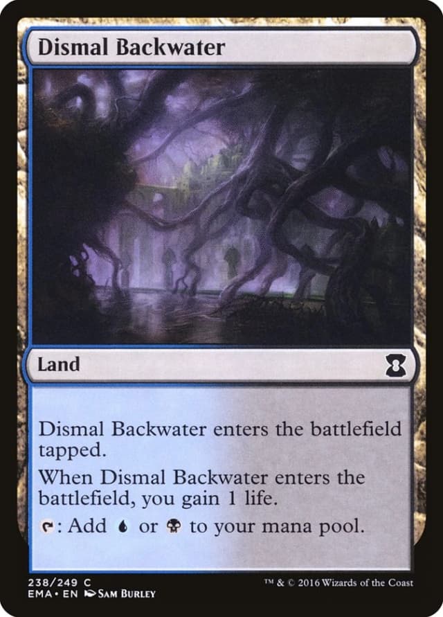 Dismal Backwater image