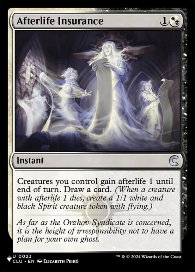 Afterlife Insurance image