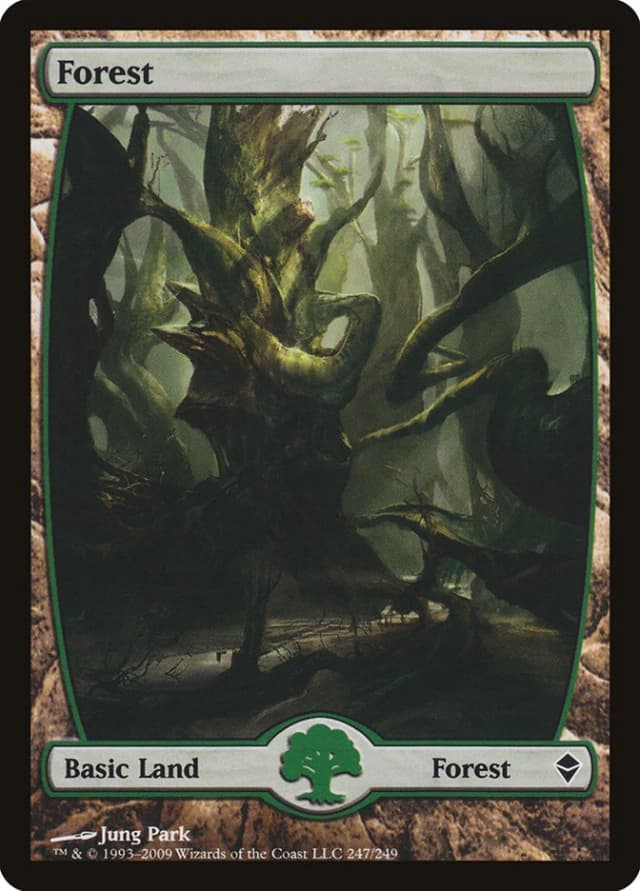 Forest image