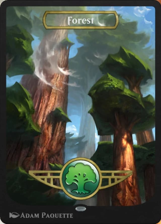 Forest image