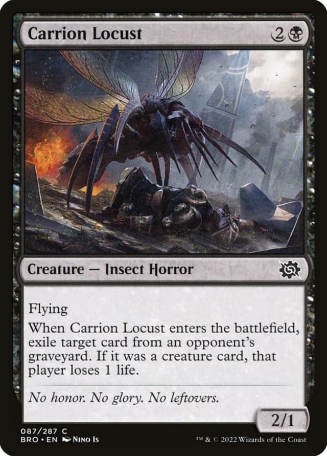 Carrion Locust image