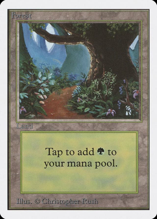 Forest image