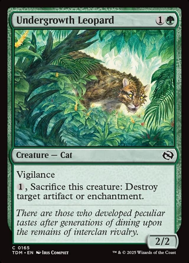 Undergrowth Leopard image