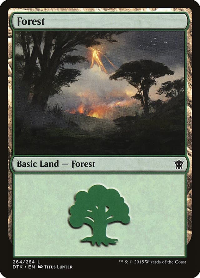 Forest image