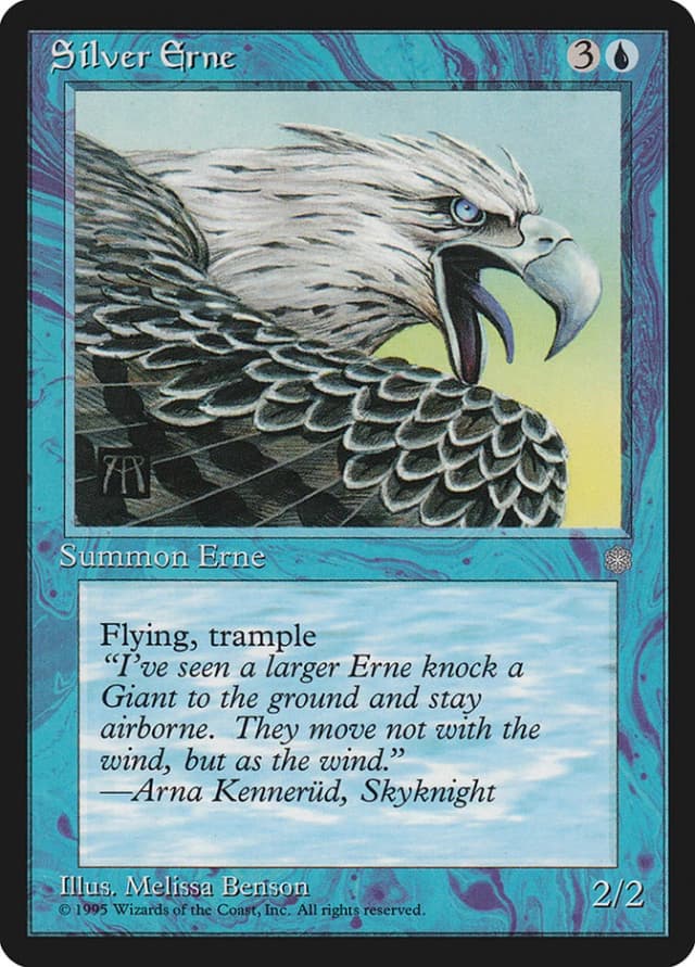 Silver Erne image