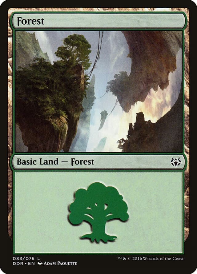 Forest image