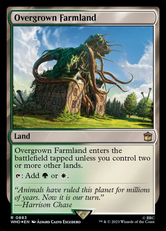 Overgrown Farmland image
