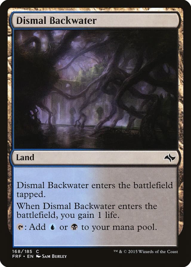 Dismal Backwater image